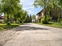 an old road runs through a small village with buildings and trees in the background, while some shrubs are growing