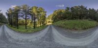 a road curves around some trees in a virtual panorama environment and then you have two of them