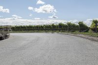 a long straight road with vineyard trees and green bushes behind it next to a dirt path