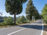 a rural road lined with trees leading into the distance to the mountains nearby, and in front of many parked cars