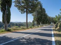 a rural road lined with trees leading into the distance to the mountains nearby, and in front of many parked cars