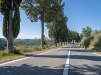 a rural road lined with trees leading into the distance to the mountains nearby, and in front of many parked cars