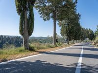 a rural road lined with trees leading into the distance to the mountains nearby, and in front of many parked cars