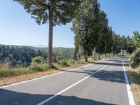 a rural road lined with trees leading into the distance to the mountains nearby, and in front of many parked cars