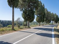 a rural road lined with trees leading into the distance to the mountains nearby, and in front of many parked cars