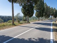 a rural road lined with trees leading into the distance to the mountains nearby, and in front of many parked cars