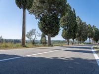 a rural road lined with trees leading into the distance to the mountains nearby, and in front of many parked cars