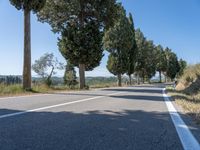 a rural road lined with trees leading into the distance to the mountains nearby, and in front of many parked cars