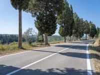 a rural road lined with trees leading into the distance to the mountains nearby, and in front of many parked cars