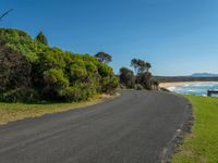 empty roadway by the beach with green grass and trees near by on hill at top