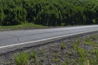 a motorcycle rides down the mountain road between two bushes and a wooded area next to it