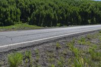 a motorcycle rides down the mountain road between two bushes and a wooded area next to it