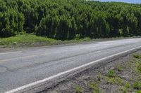 a motorcycle rides down the mountain road between two bushes and a wooded area next to it