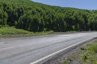 a motorcycle rides down the mountain road between two bushes and a wooded area next to it