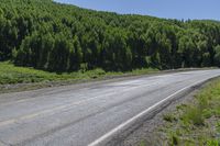 a motorcycle rides down the mountain road between two bushes and a wooded area next to it