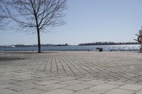 a street with trees and a boat ramp on the side of it near the water