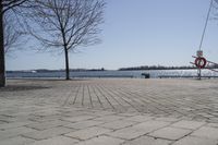 a street with trees and a boat ramp on the side of it near the water