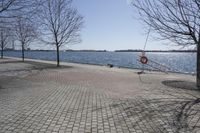 a street with trees and a boat ramp on the side of it near the water