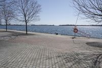 a street with trees and a boat ramp on the side of it near the water