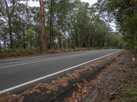 Scenic Suburban Landscape with Asphalt Road and Woody Vegetation