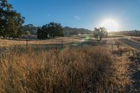 Scenic Sunrise on Asphalt Road in Rural Landscape