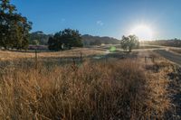 Scenic Sunrise on Asphalt Road in Rural Landscape