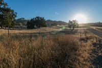 Scenic Sunrise on Asphalt Road in Rural Landscape