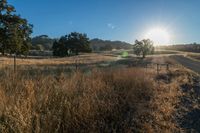 Scenic Sunrise on Asphalt Road in Rural Landscape