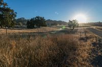 Scenic Sunrise on Asphalt Road in Rural Landscape