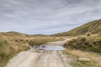 a dirt road leading into a puddle of water on the mountain side, with grassy and grasses surrounding