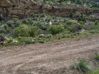 Scenic Track and Paver Road in the Nature of Utah