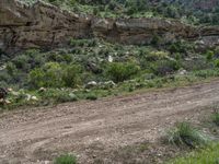 Scenic Track and Paver Road in the Nature of Utah