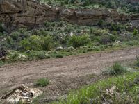 Scenic Track and Paver Road in the Nature of Utah