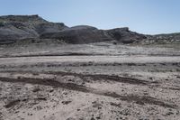 Scenic Utah Desert with Clear Sky