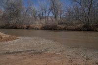 a brown water way with trees in the background on a nice day that has some ice