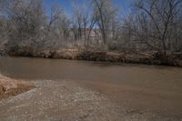 a brown water way with trees in the background on a nice day that has some ice