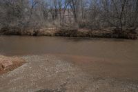 a brown water way with trees in the background on a nice day that has some ice