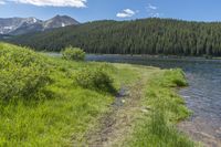 a dirt path between trees and grass with mountains in the background as the sun reflects in the water