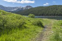 a dirt path between trees and grass with mountains in the background as the sun reflects in the water