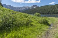 a dirt path between trees and grass with mountains in the background as the sun reflects in the water