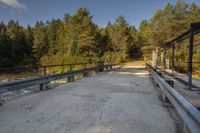 Scenic View of a Concrete Road in Ontario, Canada