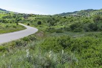 Scenic View of Deer Creek Canyon Park in Denver, Colorado