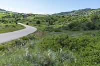 Scenic View of Deer Creek Canyon Park in Denver, Colorado