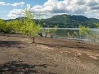 the view from across the lake and sand dunes to trees in the foreground and mountains and sky