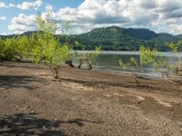 the view from across the lake and sand dunes to trees in the foreground and mountains and sky