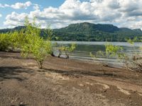 the view from across the lake and sand dunes to trees in the foreground and mountains and sky