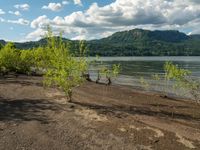 the view from across the lake and sand dunes to trees in the foreground and mountains and sky