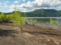 the view from across the lake and sand dunes to trees in the foreground and mountains and sky