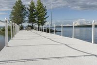 there are two poles on the end of the dock, and a line with trees to each side