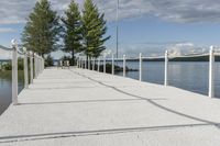 there are two poles on the end of the dock, and a line with trees to each side